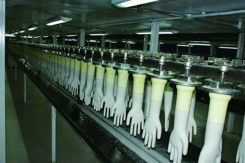 蒸汽发生器论谈的个人展示页