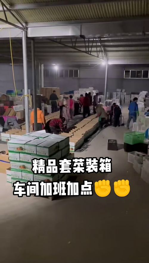 全国无缝隙发货,精品套菜装箱
