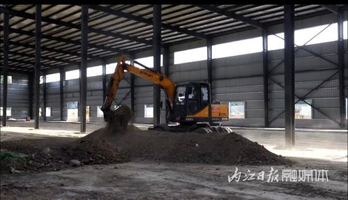 总投资4000万元 隆昌年产600万套宠物用品生产基地项目建设进展顺利